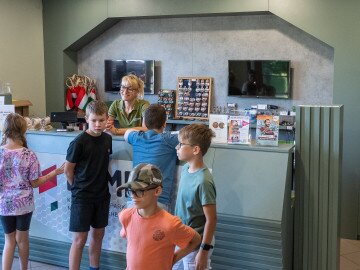 A Park szolgáltatásai