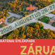Technikai okok miatt ZÁRVA